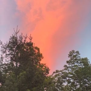 Meet your Posher, Gavin